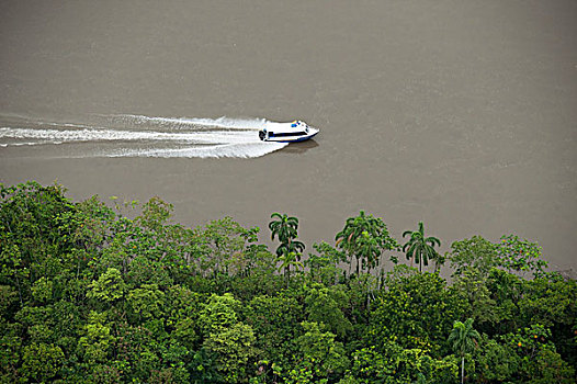 快艇,石油业,河,亚马逊雨林,厄瓜多尔,南美