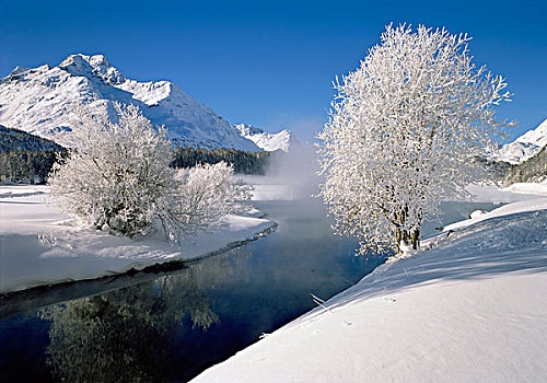 白霜,靠近,正面,山,恩加丁,山谷,瑞士,欧洲