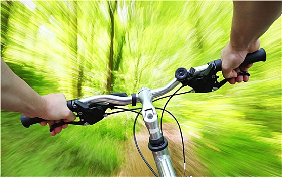 骑,自行车,树林