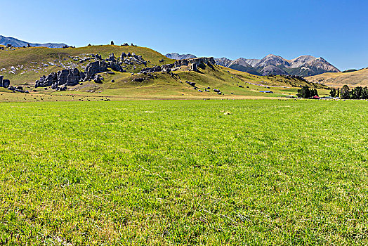 城堡,山,保护区,坎特伯雷地区,新西兰,大洋洲