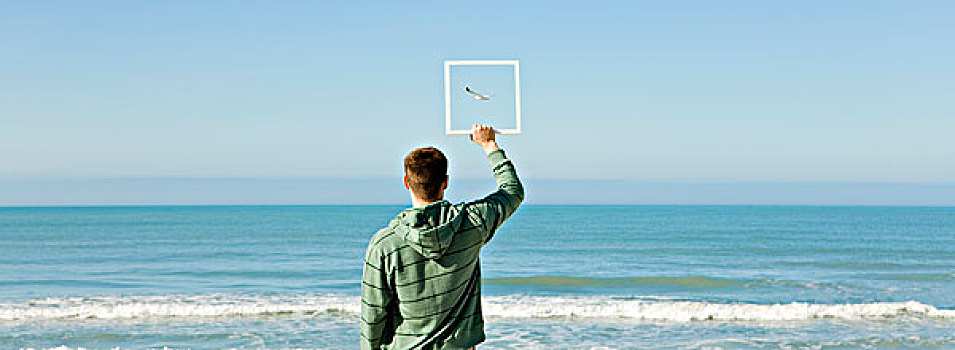 男人,海滩,拿着,向上,画框,捕获,图像,海鸥,飞,蓝天