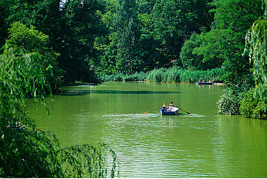 划桨船,湖,中央公园,纽约,美国