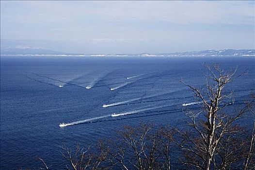 打渔船队,知床半岛,北海道,日本