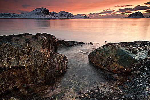 湾,日落,靠近,罗弗敦群岛,诺尔兰郡,挪威,欧洲