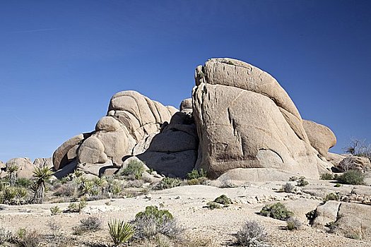 石头,约书亚树国家公园,加利福尼亚,美国