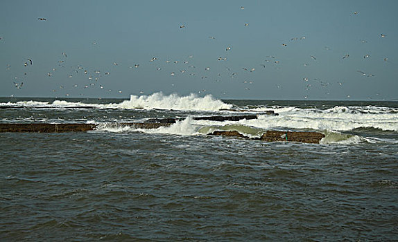 海滨风景