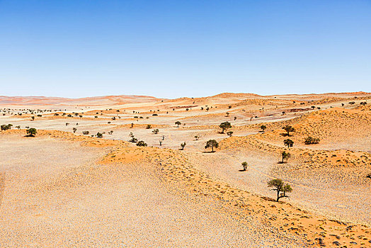 航拍,繁茂,沙丘,山麓,纳米布沙漠,纳米比诺克陆夫国家公园,纳米比亚,非洲