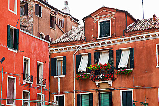 欧洲,意大利,威尼斯,街景,花,盒子