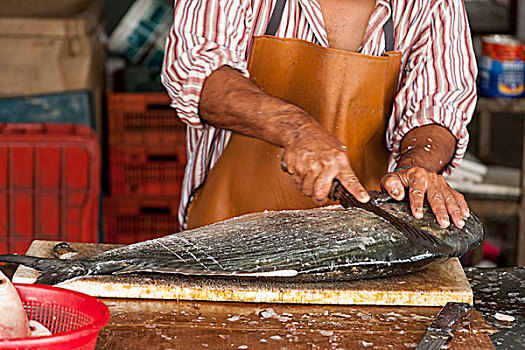墨西哥,维拉克鲁斯,屠夫,鱼市,鱼,出售