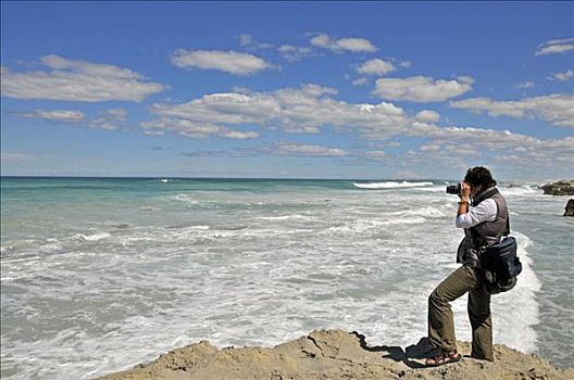 摄影师,海岸,圈,自然保护区,南非,非洲