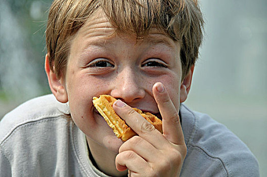 男孩,吃,华夫饼,动作,可笑,德国,欧洲