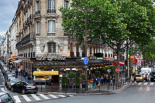 街景,大道,蒙帕尔纳斯,巴黎,法国