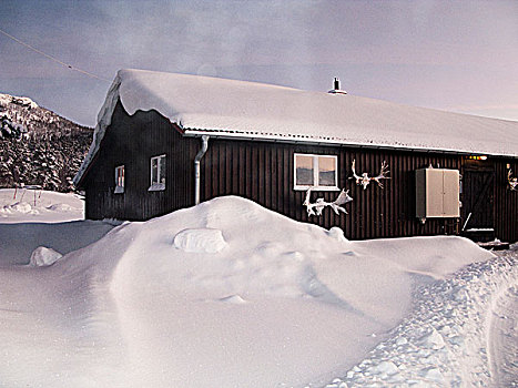 乡村,小屋,冬天