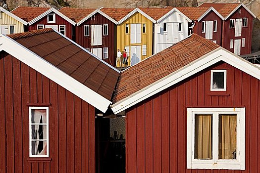 船,小屋,布胡斯,海岸,瑞典