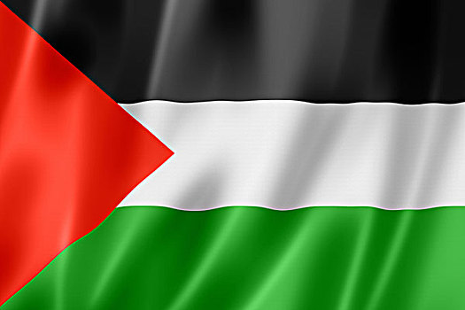 巴勒斯坦,旗帜