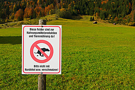 签到,草地,禁止,狗,靠近,加米施帕藤基兴,陆地,上巴伐利亚,巴伐利亚,德国