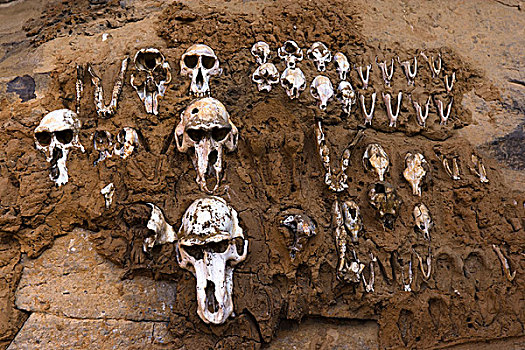 骨头,动物,埋葬,墙壁,马里