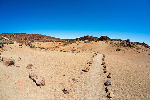 小路,火山地貌,公园,特内里费岛,加纳利群岛,西班牙