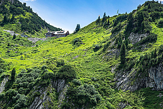 奥地利,山,仰视