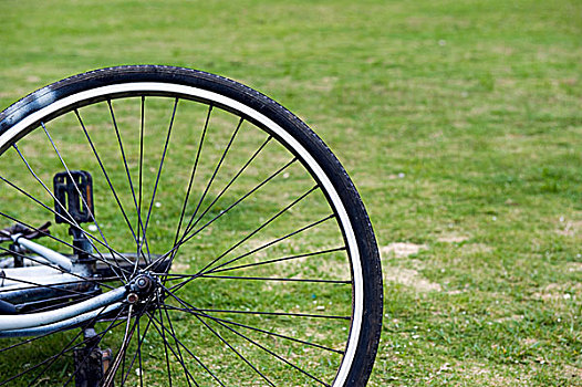 特写,自行车,轮子,绿色,地点