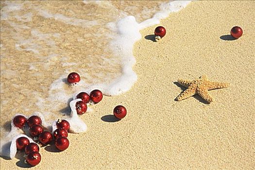 圣诞节,场景,红色,圣诞树装饰,海星,散开,海滩,海岸线