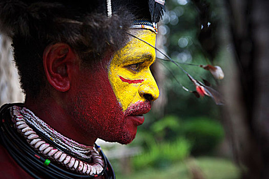 男人,化妆,头饰,塔里,巴布亚新几内亚