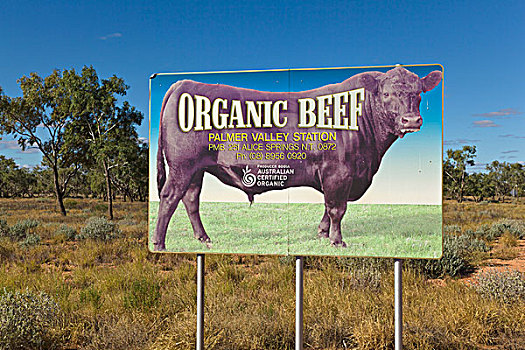 公路,广告牌,广告,有机,牛肉,牧场,北领地州,澳大利亚