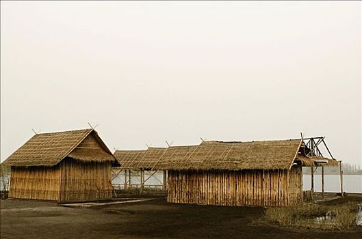 茅草屋顶,小屋,河岸,曼谷,泰国