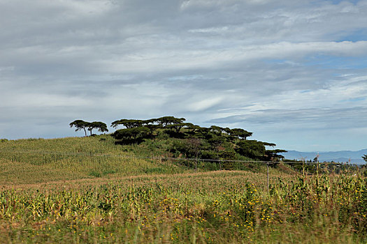 风景,北方,肯尼亚