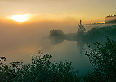 雾状,日出,水塘,岸边,乡村,地区,莫斯科,区域,俄罗斯,欧洲