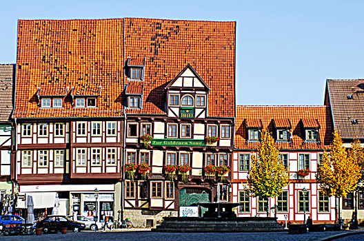 历史,半木结构,建筑,奎德琳堡,城市,世界遗产,萨克森安哈尔特,德国,欧洲