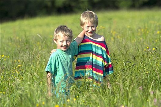 两个,小男孩,兄弟,8岁,站立,花,草地