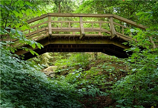 木质,步行桥