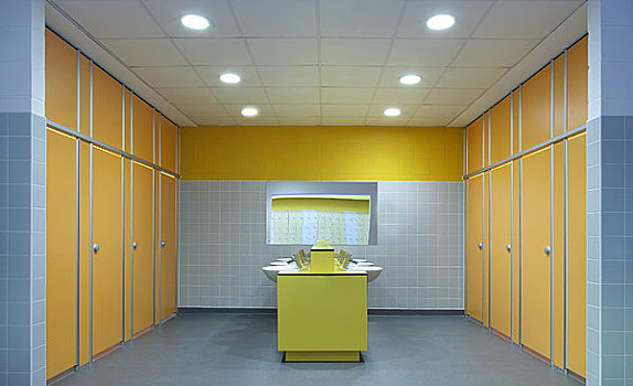 大学,建筑师,2008年,内景,展示,现代,彩色,卫生间