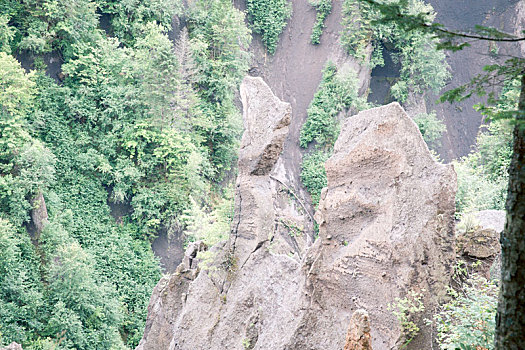 长白山森林峡谷