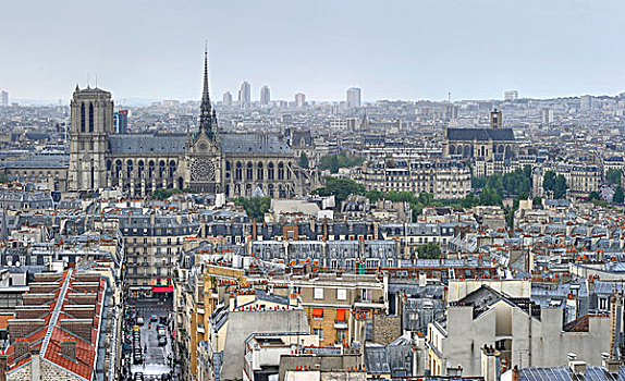 风景,观注,上方,屋顶,南,建筑,大教堂,巴黎圣母院,巴黎,法国,欧洲