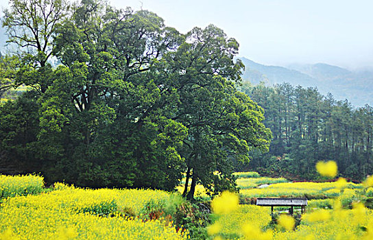 徽州建筑风景