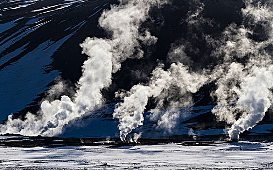 冰岛,地热,蒸汽,年轻,画廊