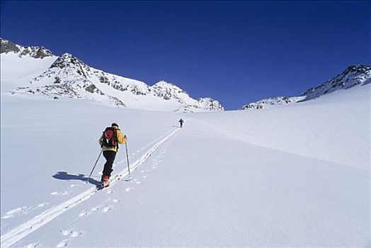滑雪,旅游,宽,雪,高,高山,山谷,山,阿尔卑斯山,提洛尔,奥地利,欧洲