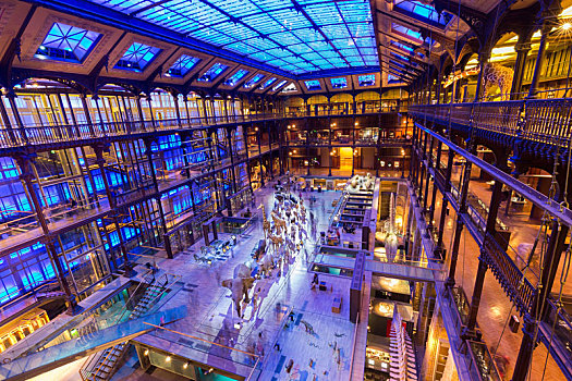 巴黎国家自然历史博物馆展馆