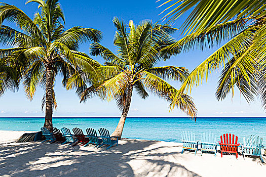 沙滩椅,椰树,树,海滩,青绿色,水,多米尼加共和国,加勒比