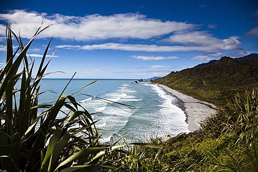 海滩,北方,西海岸,南岛,新西兰