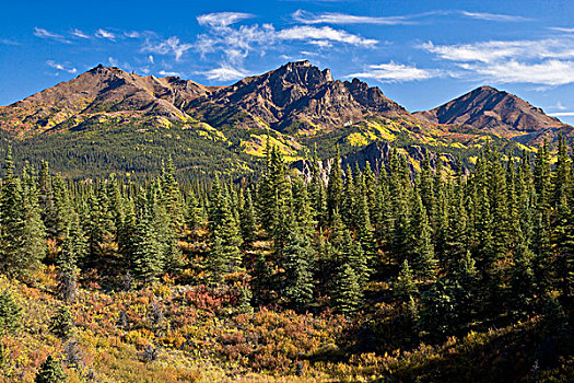 美国,阿拉斯加,秋天,阿拉斯加山脉,靠近,德纳里国家公园,万花筒,彩色