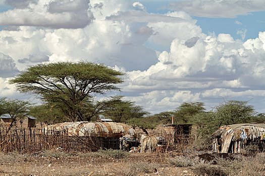 乡村,房子,肯尼亚