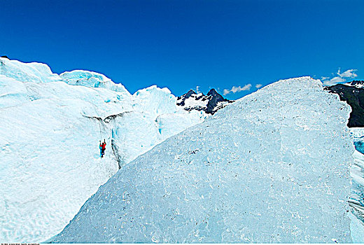 攀冰者,棉田豪冰河,阿拉斯加,美国