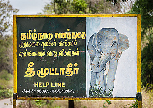 标识,防护,大象,野生动物,泰米尔纳德邦,印度,亚洲