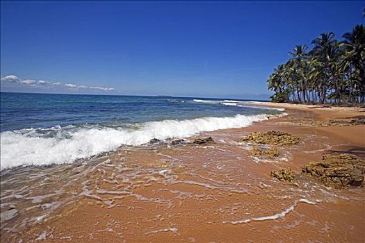 巴西,大,空,海滩,质朴,沙子,温暖,海洋,海岸,目的地,探险,旅行者
