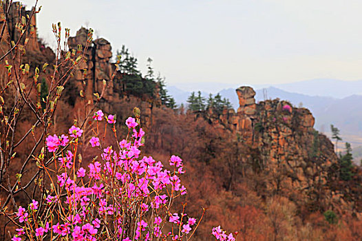 仙翁山风景