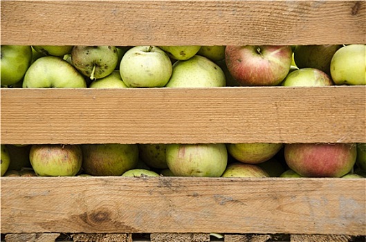 苹果,木盒