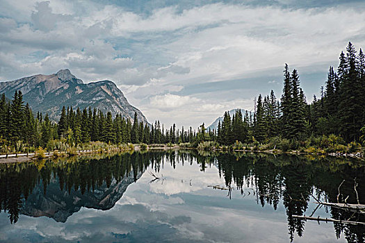 反射,山,树,湖,加拿大,北美